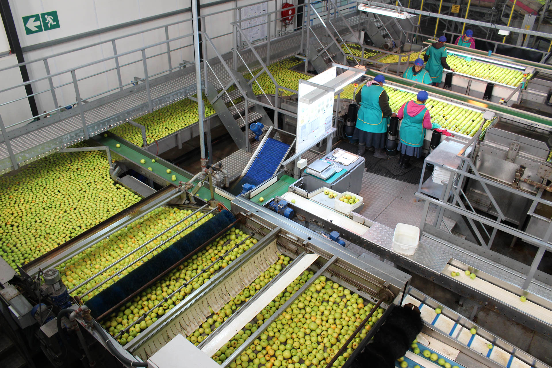 Packhouse Workers